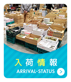 入荷情報